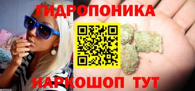 спиды Коммунар