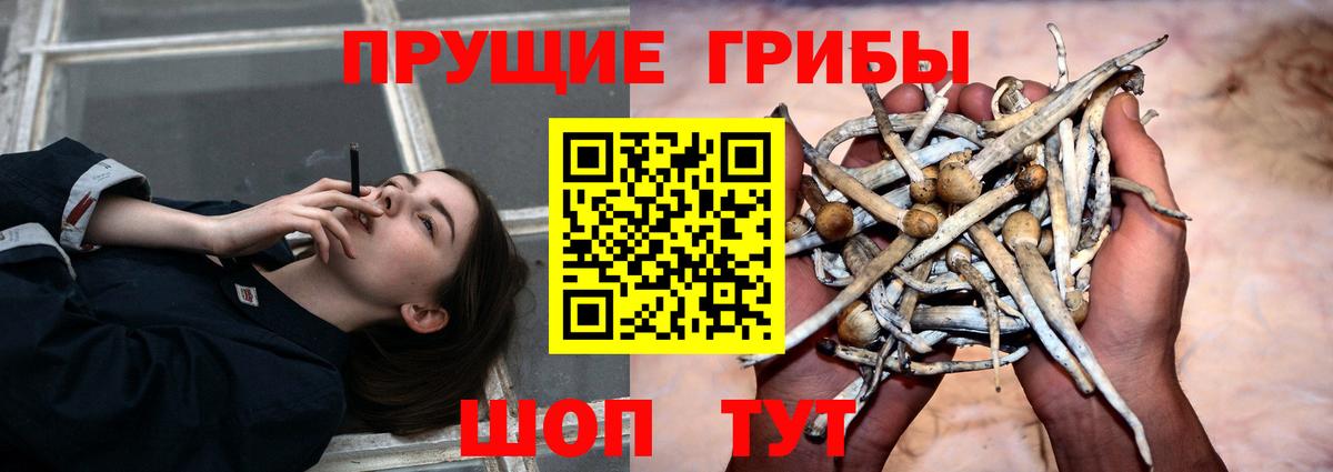 Галлюциногенные грибы Magic Shrooms  Вход с VPN  цена наркотик  Кизилюрт 